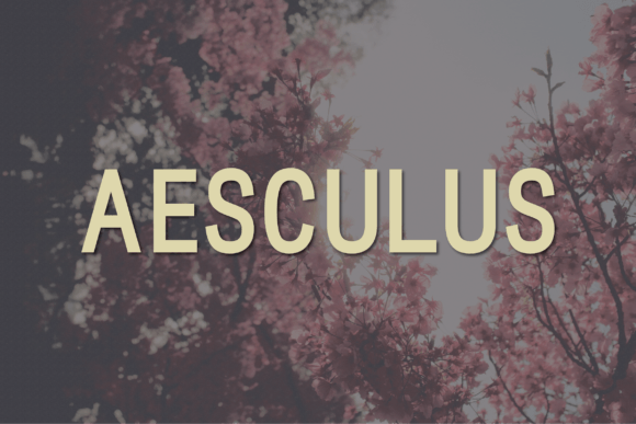 Aesculus Font: Modern Typography for Web Design
