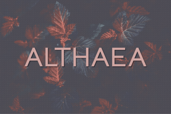 Althaea: A Modern Font for Professional Branding