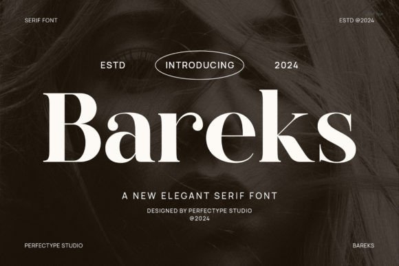 Bareks: A Serif Typeface That Gives Campaign Visuals Clearer Message Strength