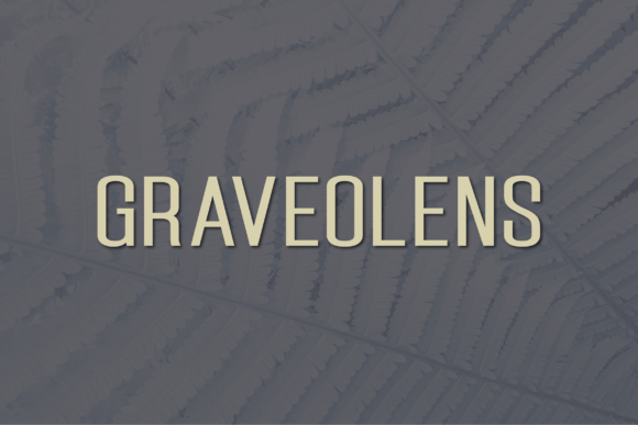 Graveolens: A Modern Sans Serif for Business Branding