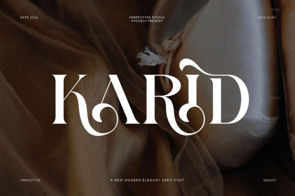 Karid Serif Font for Small Business Branding
