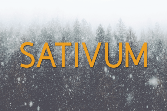 Sativum: A Font for Modern Business