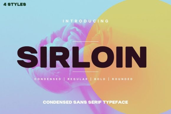 Sirloin: A Bold Sans Serif Typeface for Editorial Impact