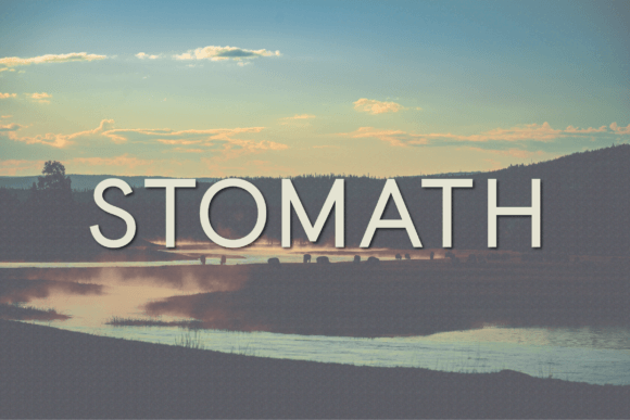 Stomath: A Sans Serif Typeface That Brings Calm Authority to Editorial Design