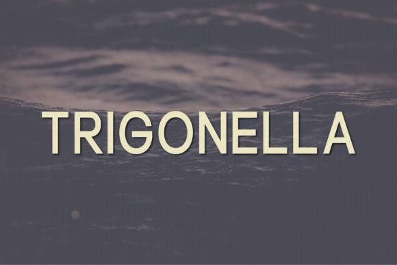 Trigonella: A Modern Sans Serif for Web Design