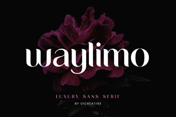 Waylimo Review: A Bold Sans Serif Font for Small Business Branding