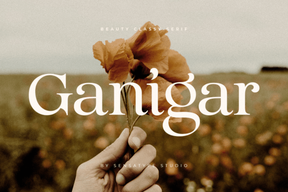 Why Ganigar Is the Serif Font Your Web Project Needs
